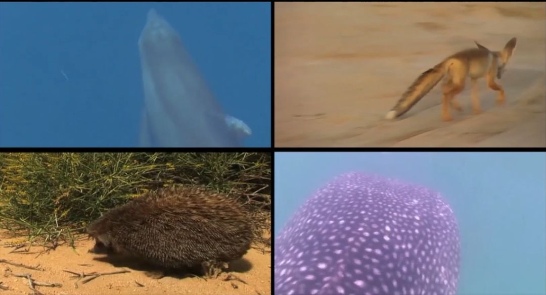 18����luck��(�й�)-�ٷ���վ