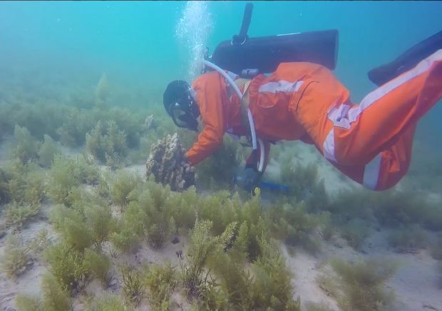 18����luck��(�й�)-�ٷ���վ