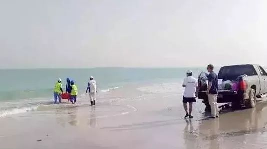 18����luck��(�й�)-�ٷ���վ