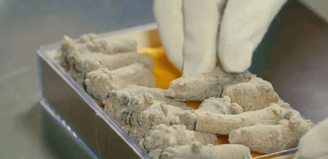 18����luck��(�й�)-�ٷ���վ