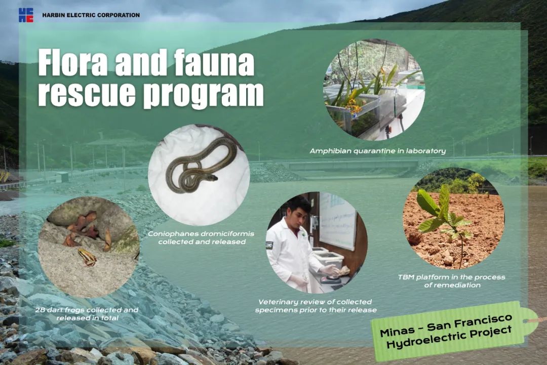 18����luck��(�й�)-�ٷ���վ