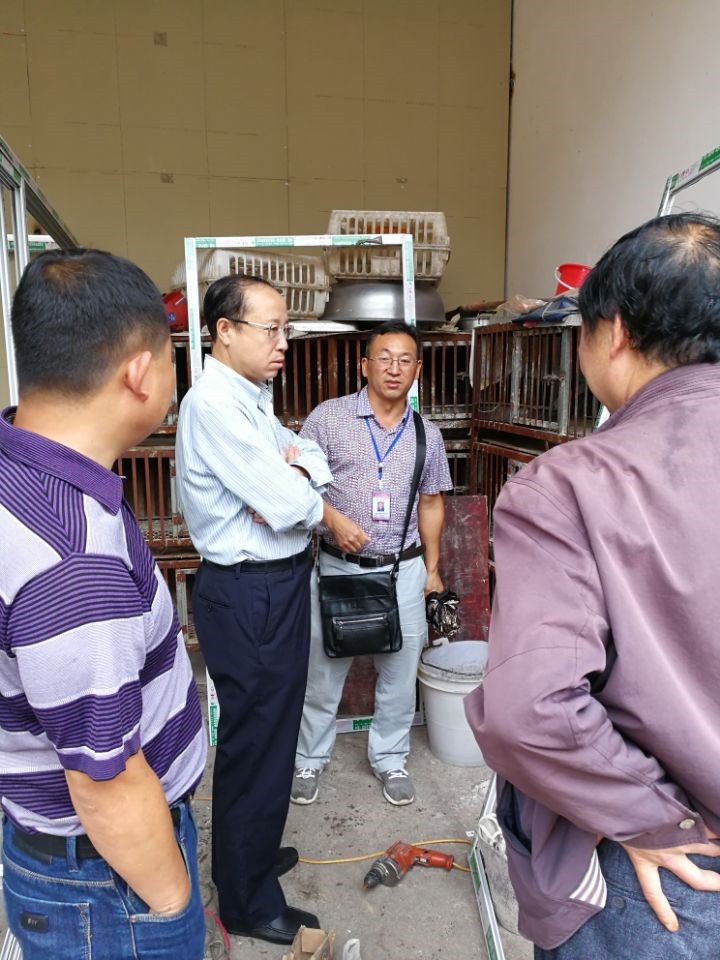 18����luck��(�й�)-�ٷ���վ