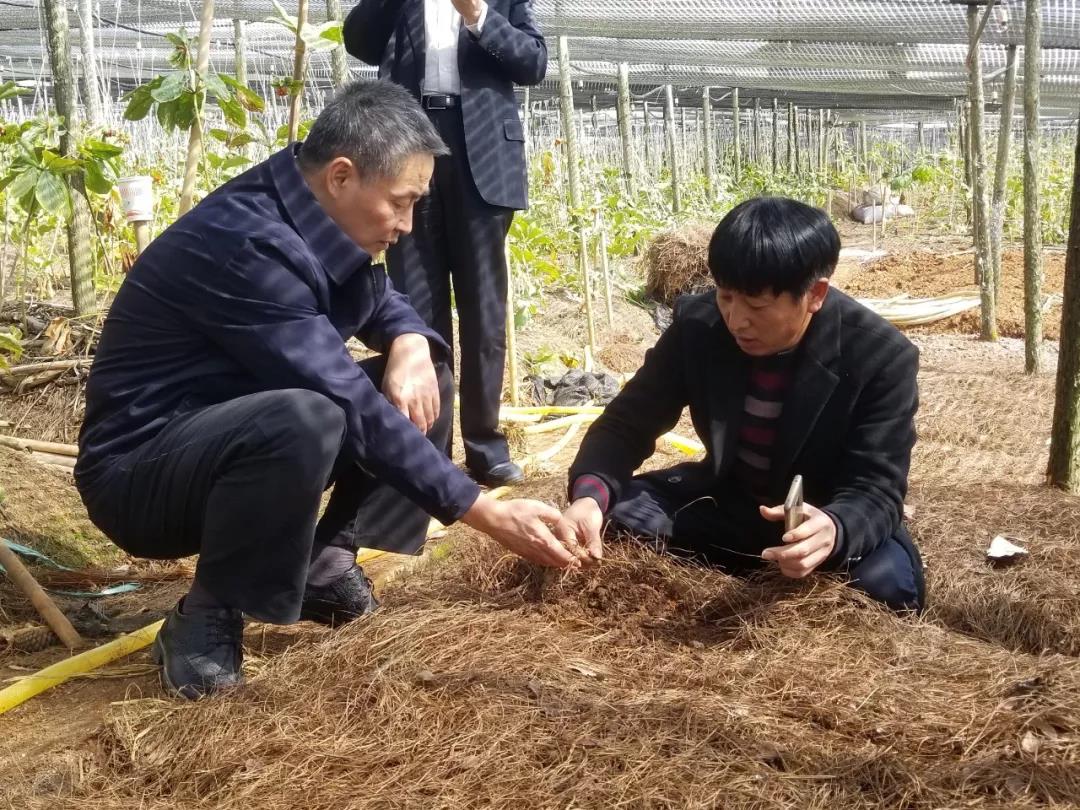 18����luck��(�й�)-�ٷ���վ