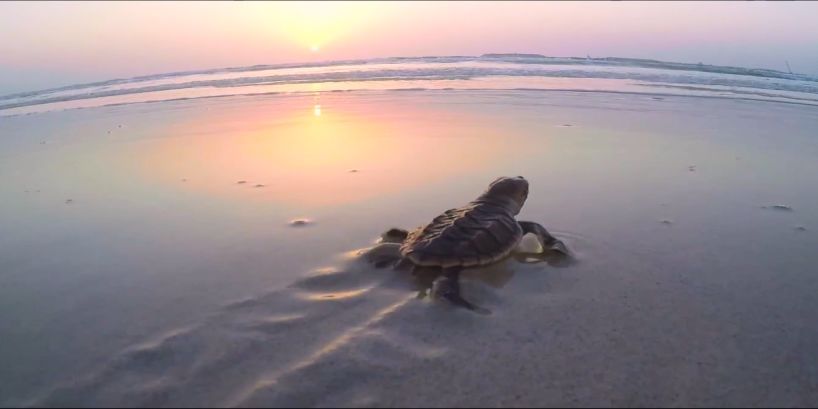 18����luck��(�й�)-�ٷ���վ