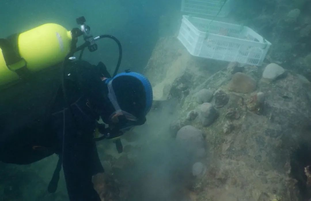 18����luck��(�й�)-�ٷ���վ