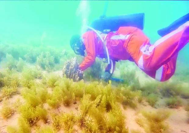 18����luck��(�й�)-�ٷ���վ