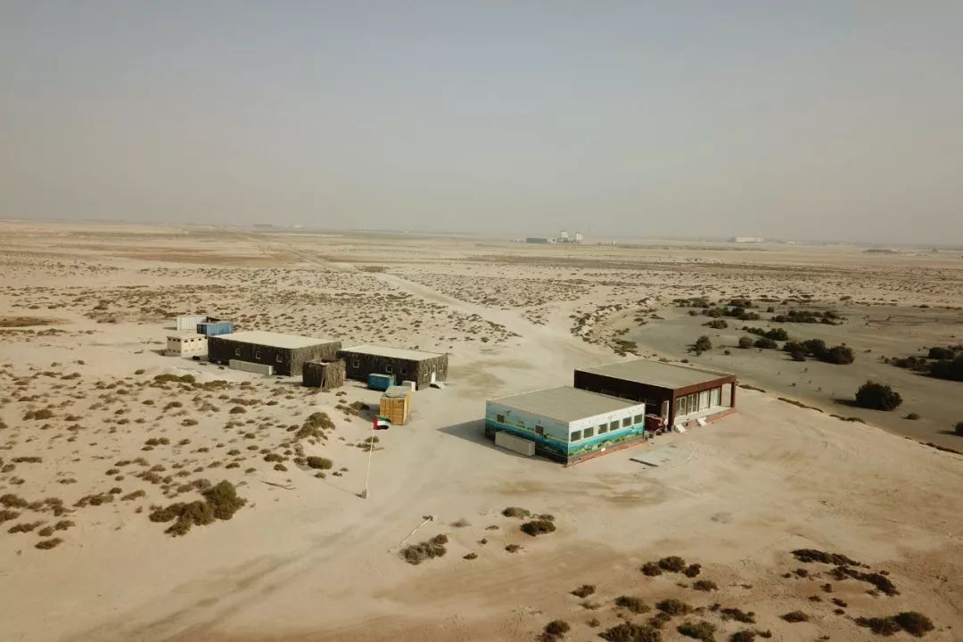 18����luck��(�й�)-�ٷ���վ