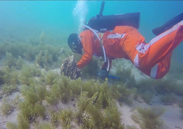 18����luck��(�й�)-�ٷ���վ