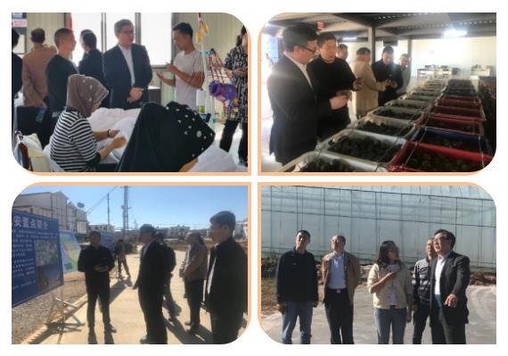 18����luck��(�й�)-�ٷ���վ