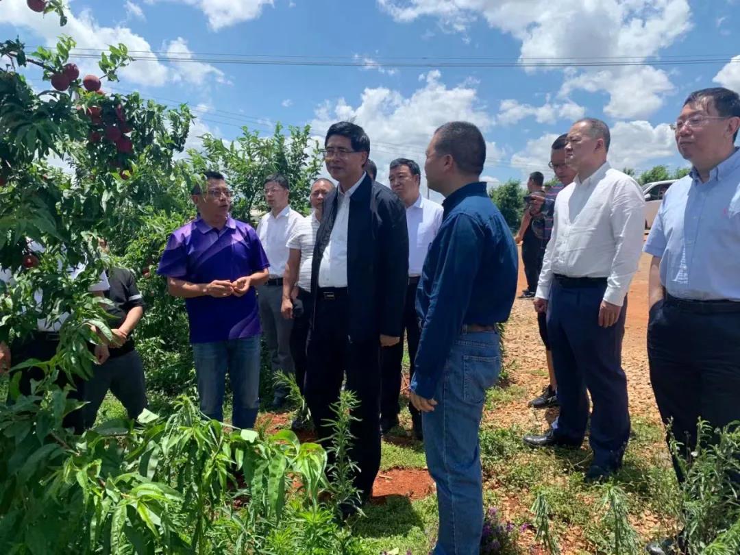 18����luck��(�й�)-�ٷ���վ