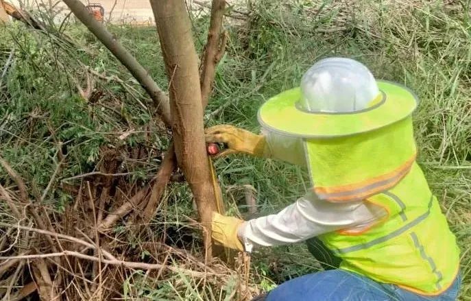 18����luck��(�й�)-�ٷ���վ