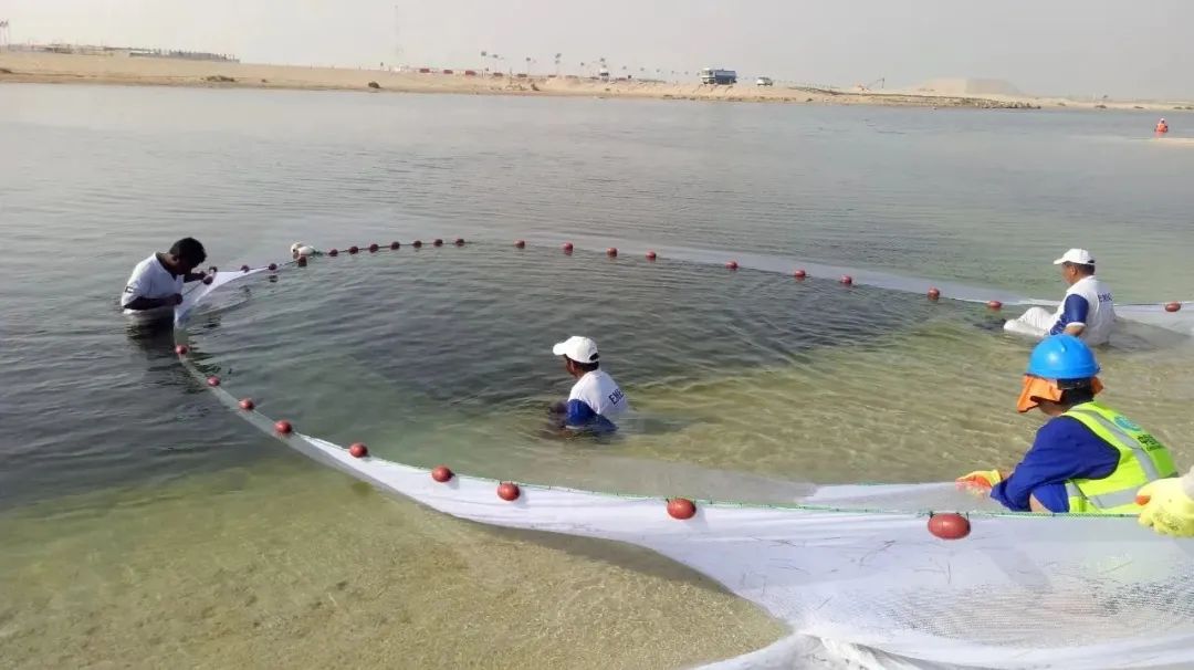 18����luck��(�й�)-�ٷ���վ