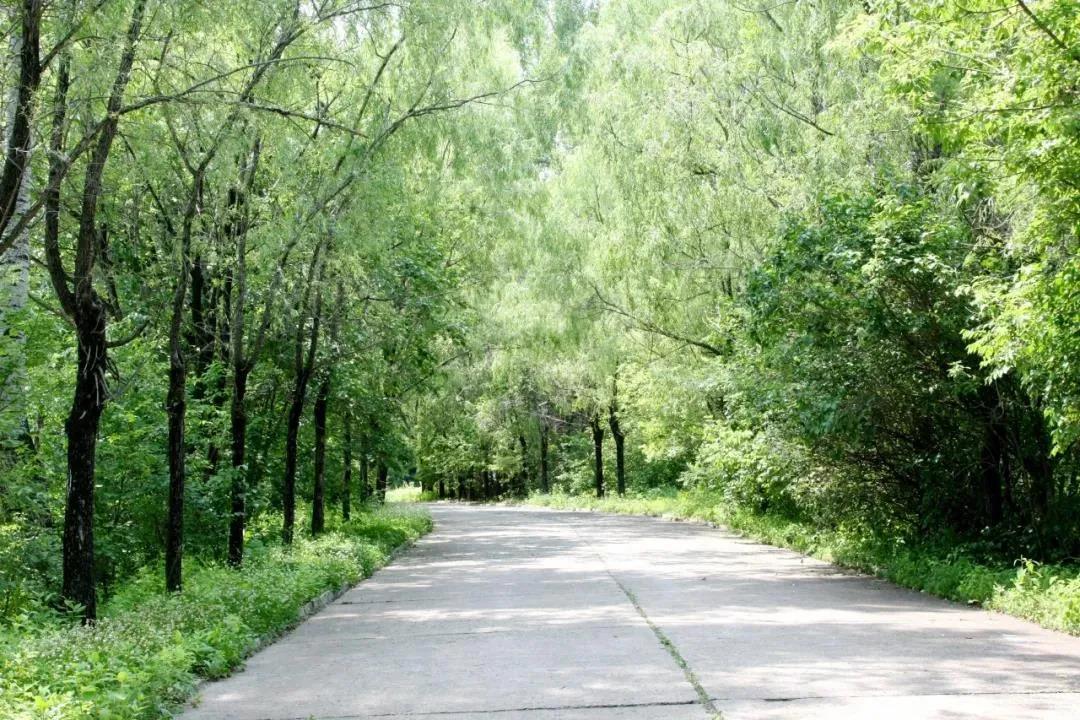 18����luck��(�й�)-�ٷ���վ