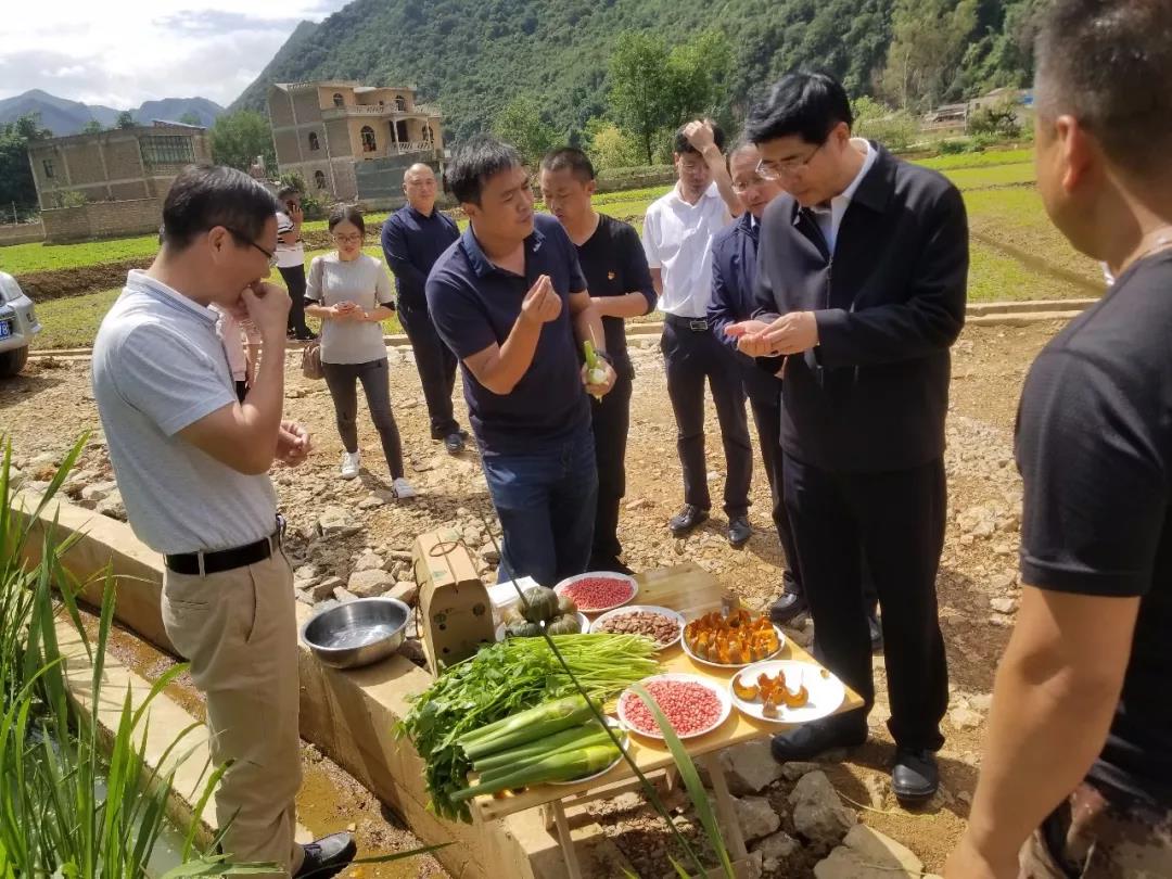 18����luck��(�й�)-�ٷ���վ