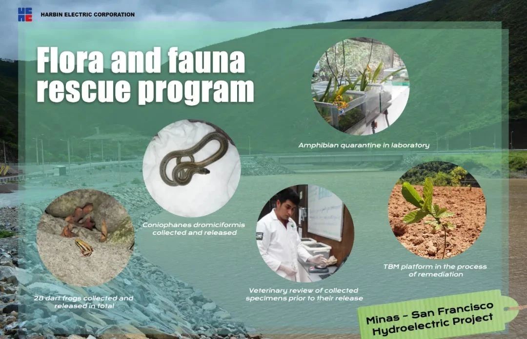 18����luck��(�й�)-�ٷ���վ