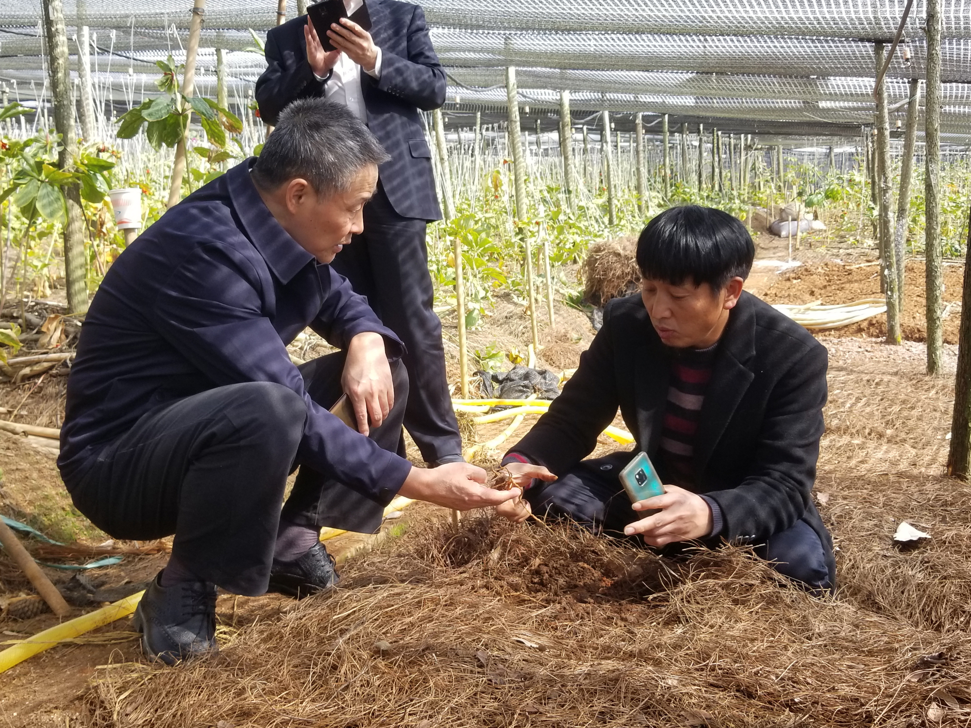 18����luck��(�й�)-�ٷ���վ