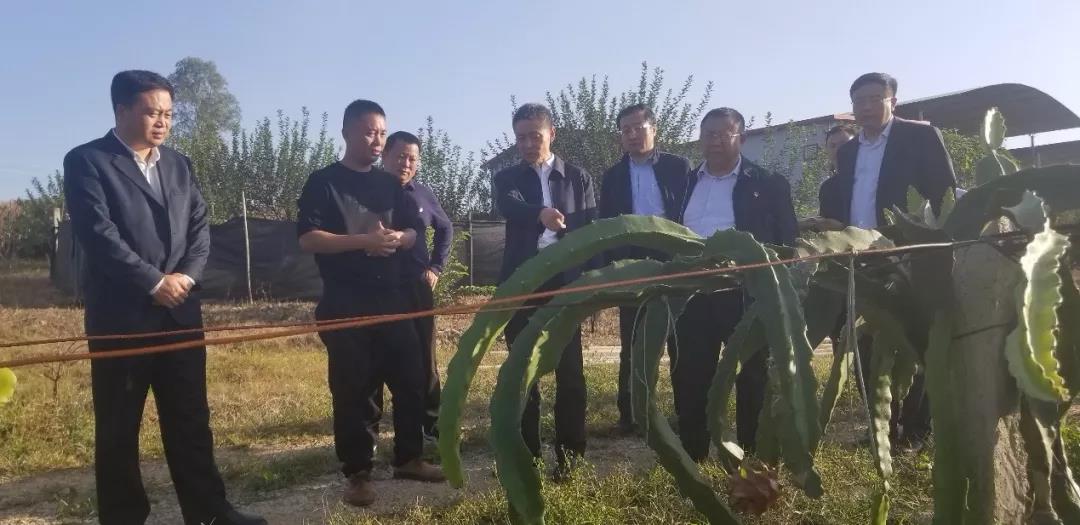 18����luck��(�й�)-�ٷ���վ