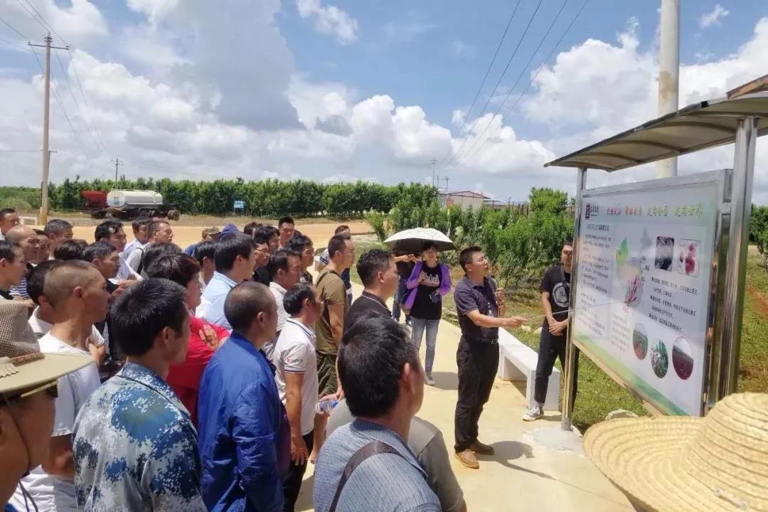 18����luck��(�й�)-�ٷ���վ