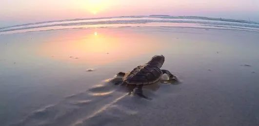 18����luck��(�й�)-�ٷ���վ