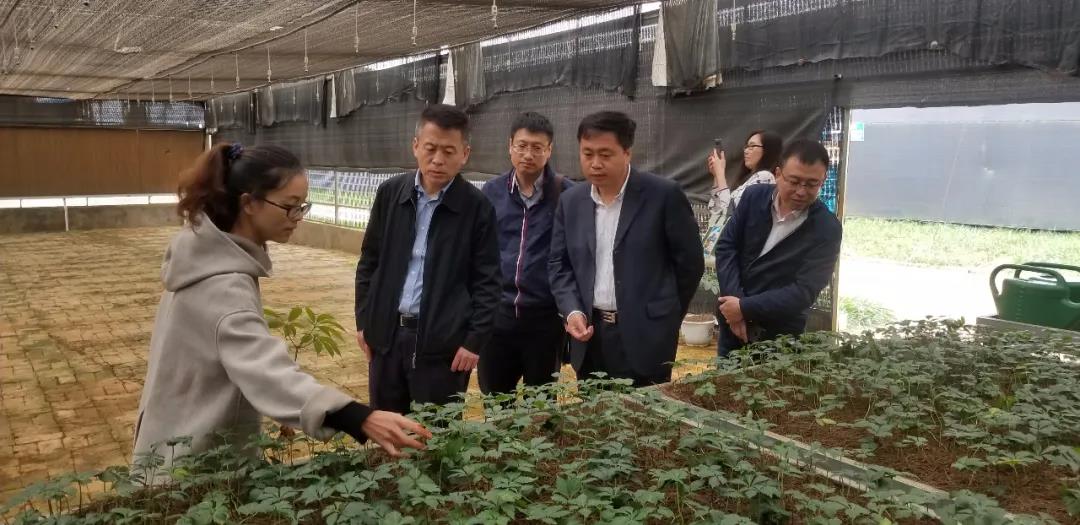 18����luck��(�й�)-�ٷ���վ