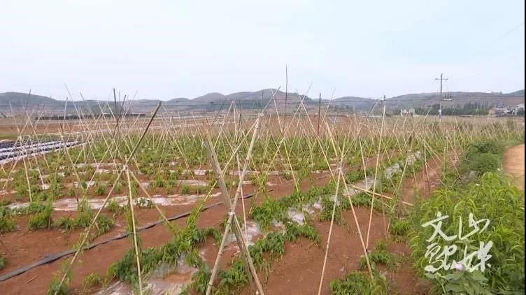 18����luck��(�й�)-�ٷ���վ