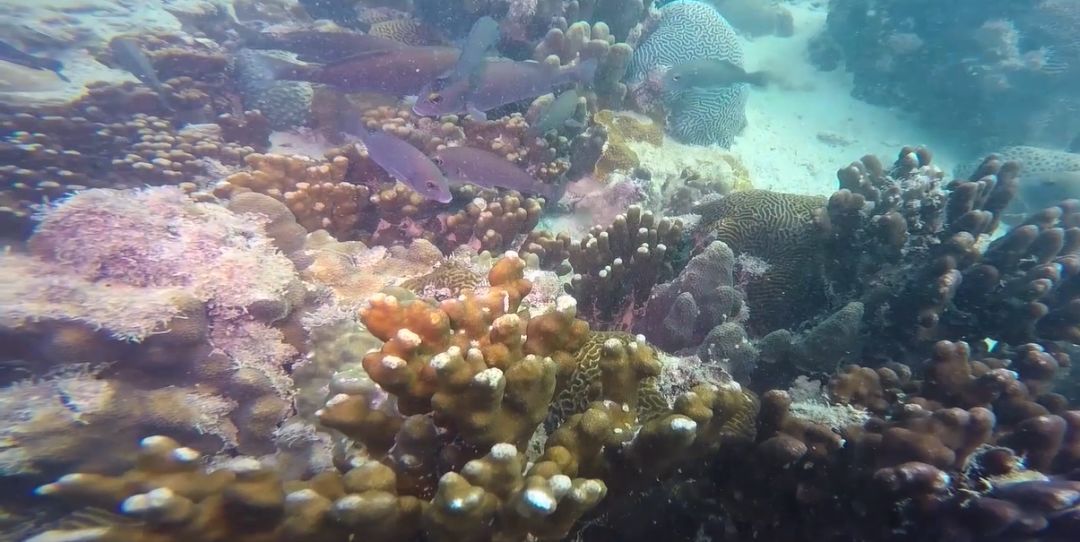 18����luck��(�й�)-�ٷ���վ