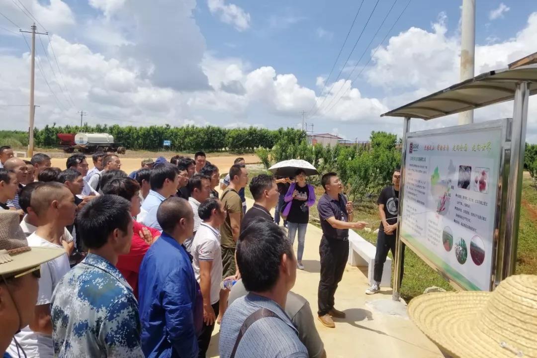 18����luck��(�й�)-�ٷ���վ