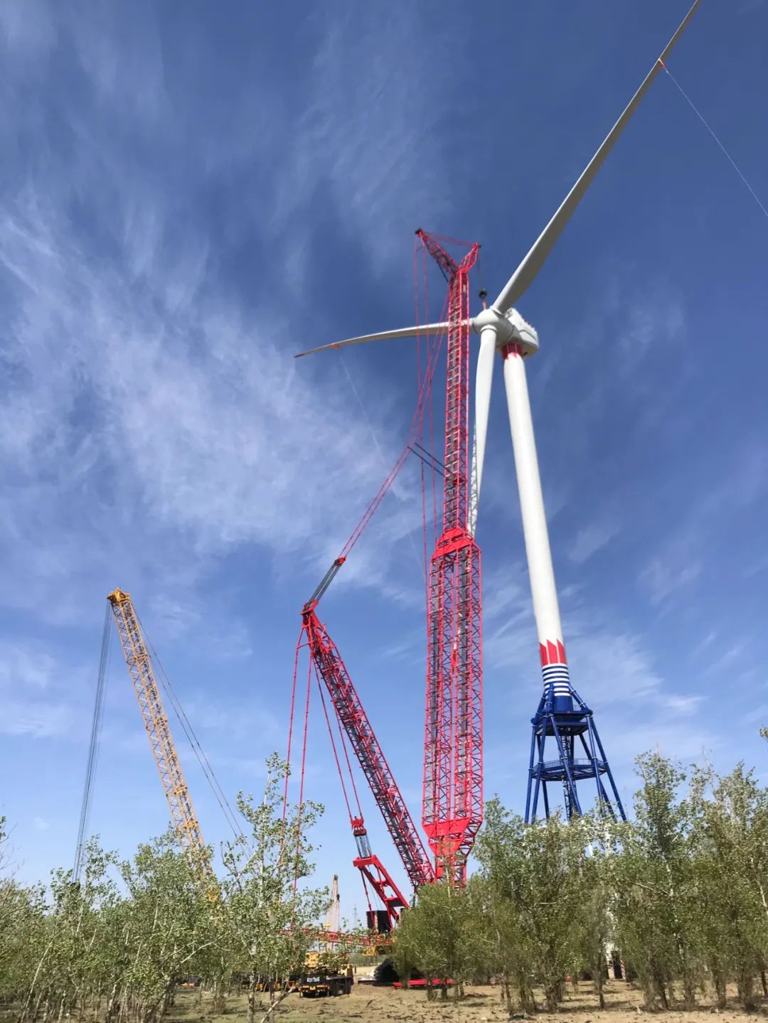 18����luck��(�й�)-�ٷ���վ