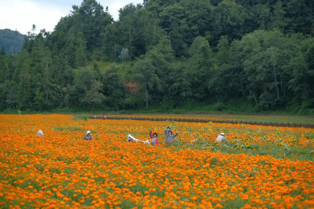 18����luck��(�й�)-�ٷ���վ