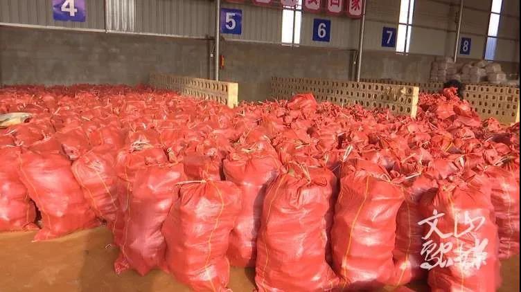 18����luck��(�й�)-�ٷ���վ