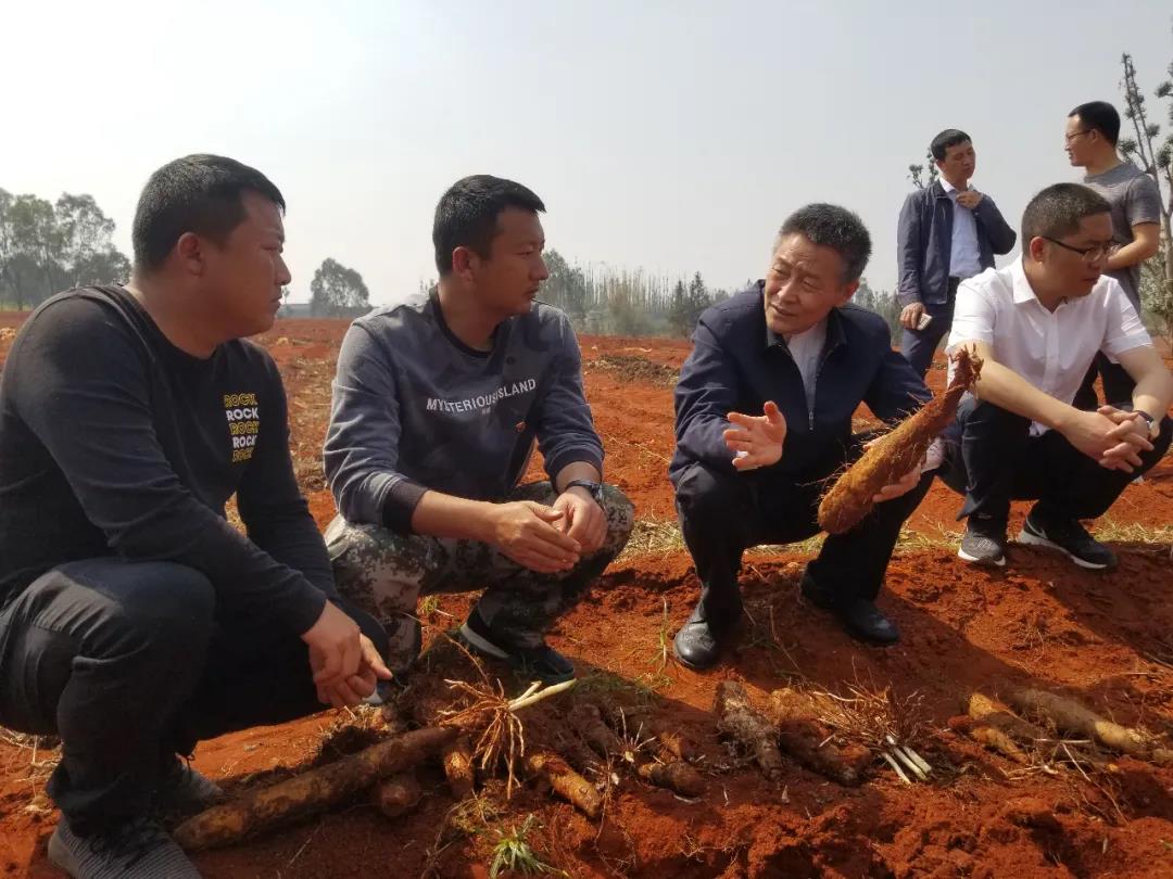 18����luck��(�й�)-�ٷ���վ