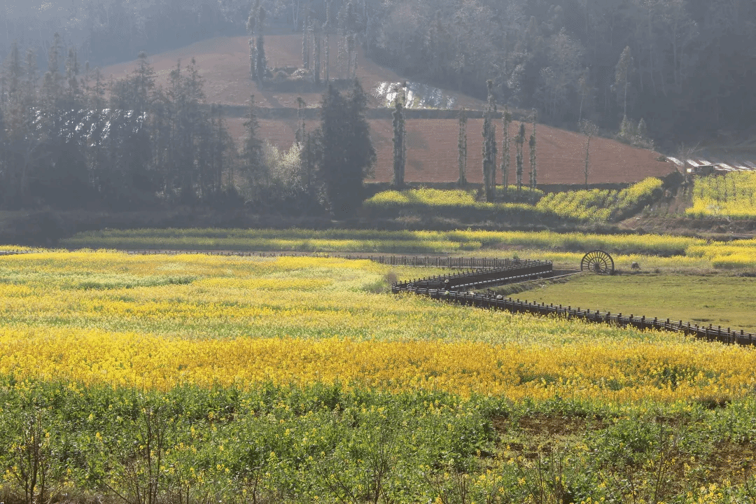 18����luck��(�й�)-�ٷ���վ