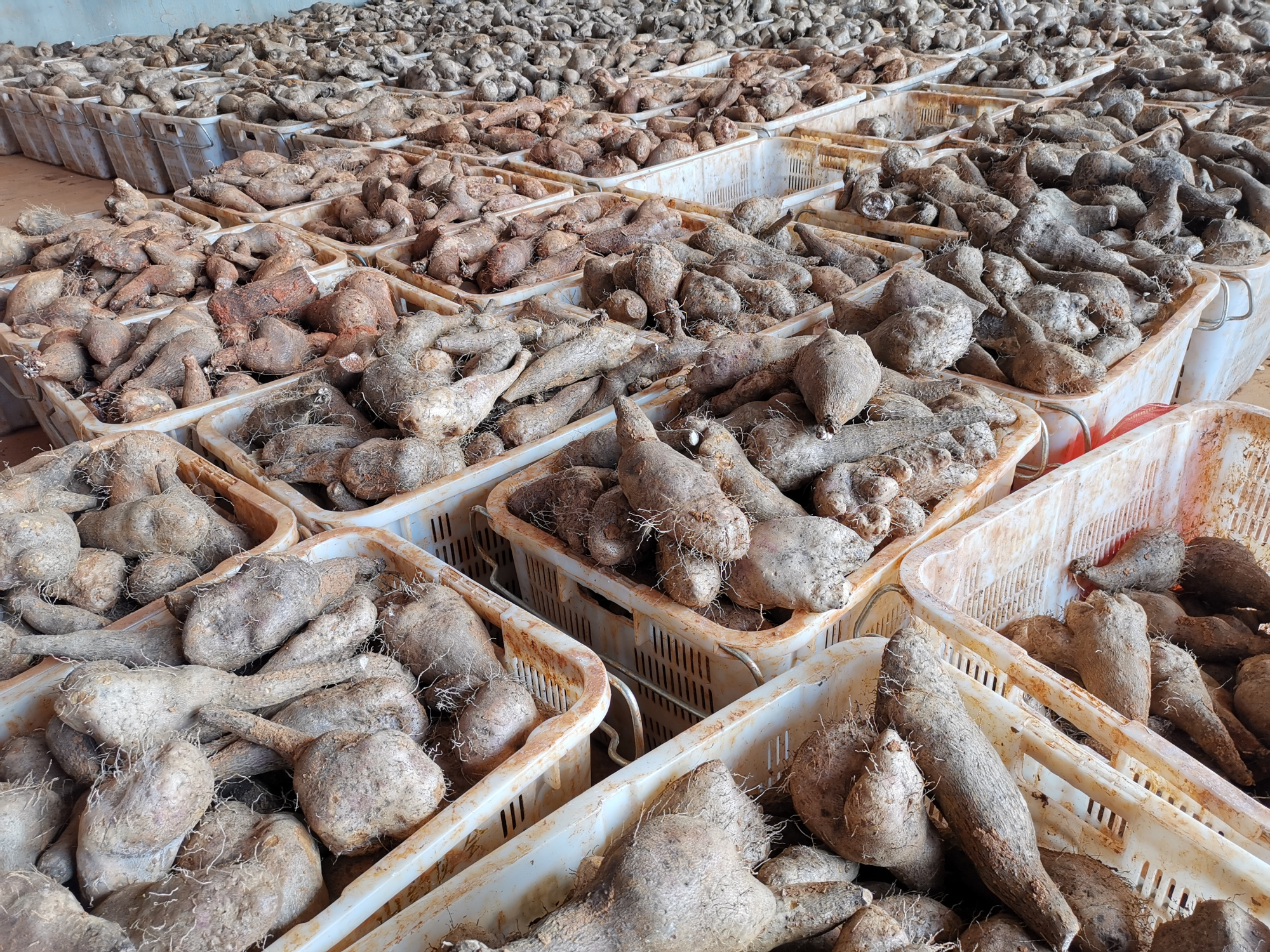 18����luck��(�й�)-�ٷ���վ