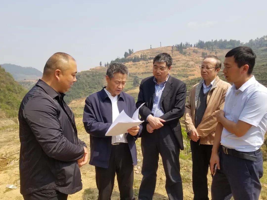 18����luck��(�й�)-�ٷ���վ