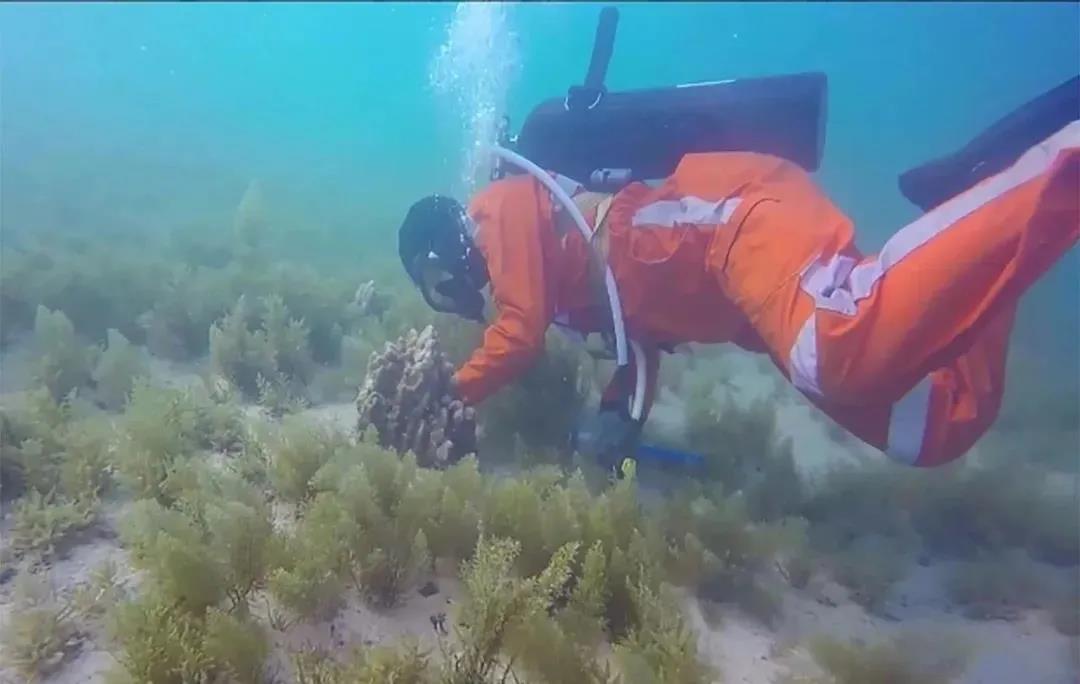 18����luck��(�й�)-�ٷ���վ